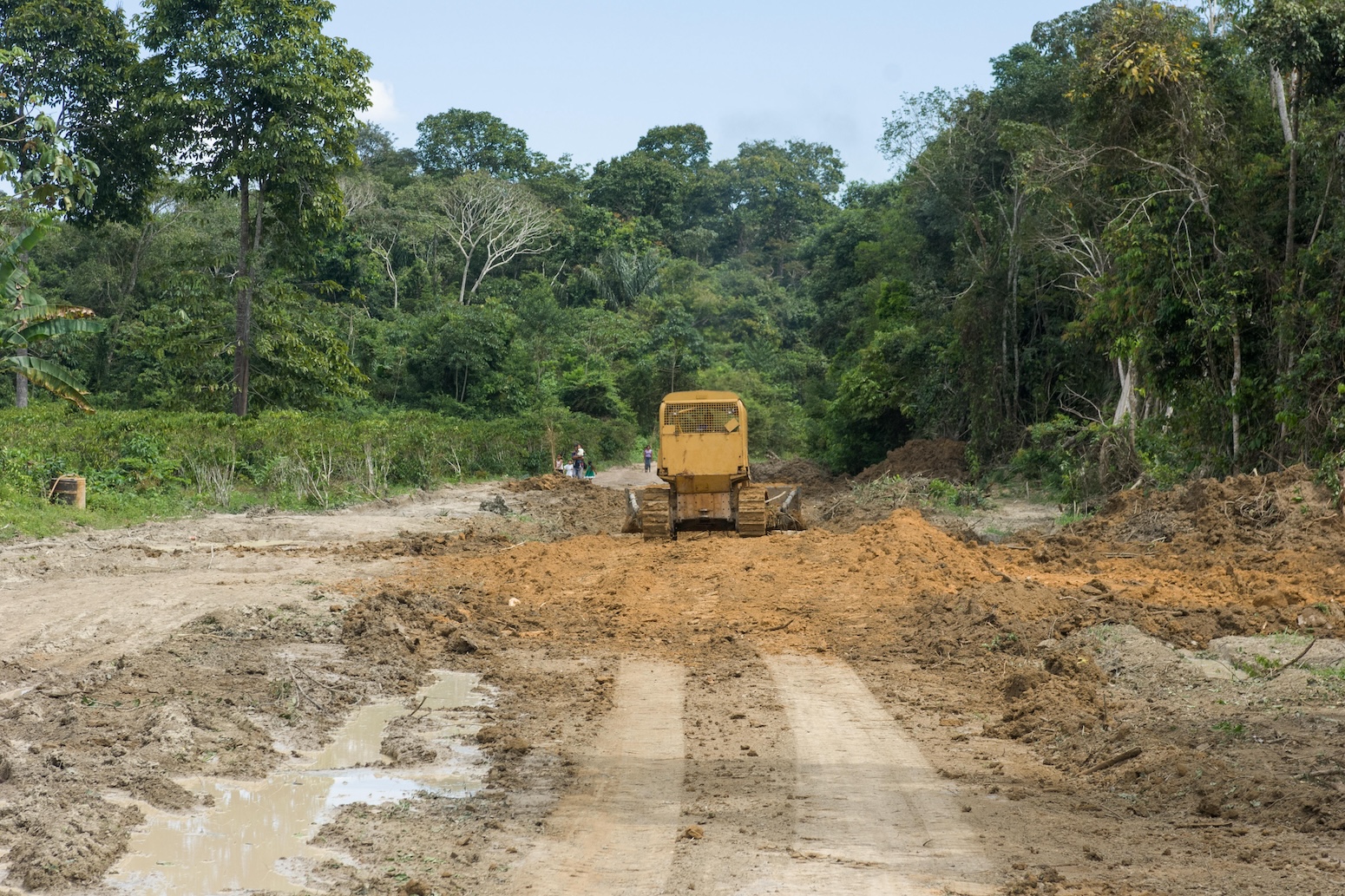 Tropical forest degradation due to ‘edge effects’ is 200% higher than thought Tropical forest degradation due to ‘edge effects’ is 200% higher than thought