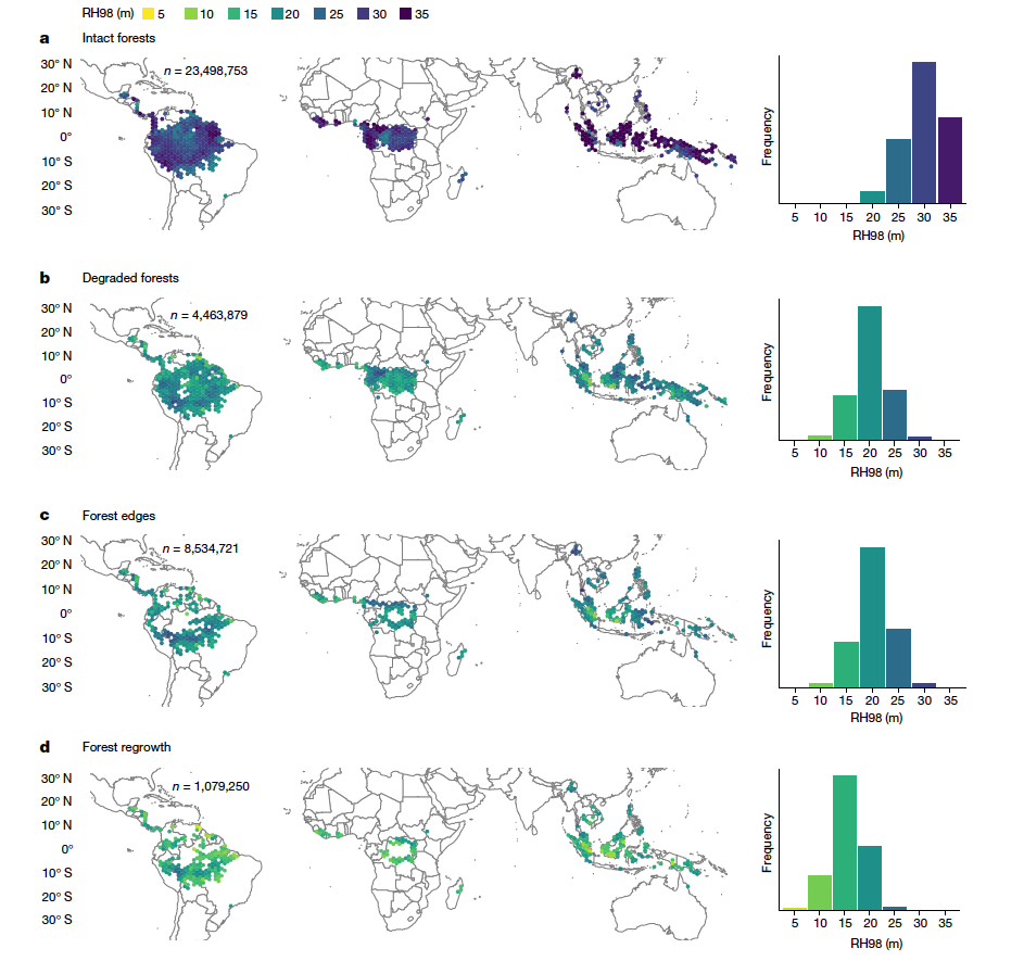Canopy height for moist tropical forests for intact forests (top row) degraded forests (second row), the edges of forests (third row) and forest regrowth (bottom row), as shown in the maps below.