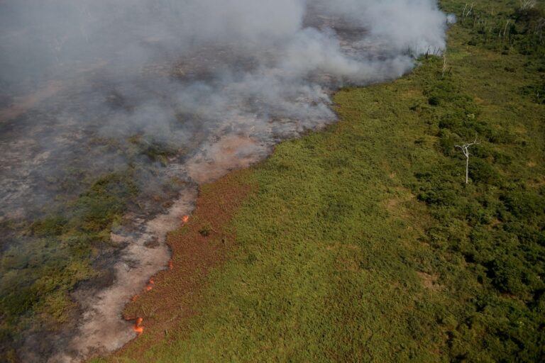 Climate change made the ‘supercharged’ 2024 Pantanal wildfires 40 more