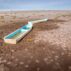 Abandoned boats on a dry lake as a result of drought in Michoacan, Mexico.