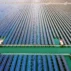 Aerial view of a solar farm in Ningbo, China.