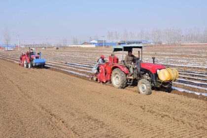 Farmers ploughs land with tractors in Hebei province, China.