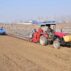 Farmers ploughs land with tractors in Hebei province, China.