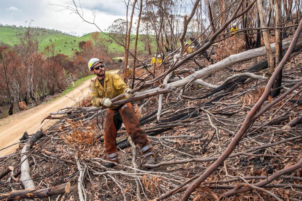 Firefighters clearing debris from wildfires in Victoria, Australia in February 2020. Credit: Interior Department / Alamy Stock Photo. Image ID: 2B8M4MN.