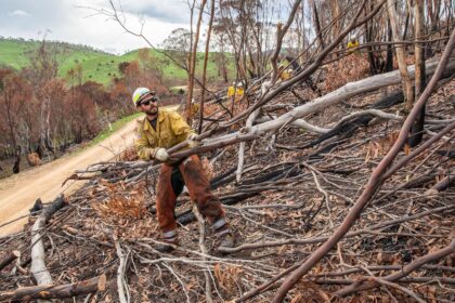 Firefighters clearing debris from wildfires in Victoria, Australia in February 2020. Credit: Interior Department / Alamy Stock Photo. Image ID: 2B8M4MN.