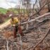 Firefighters clearing debris from wildfires in Victoria, Australia in February 2020. Credit: Interior Department / Alamy Stock Photo. Image ID: 2B8M4MN.