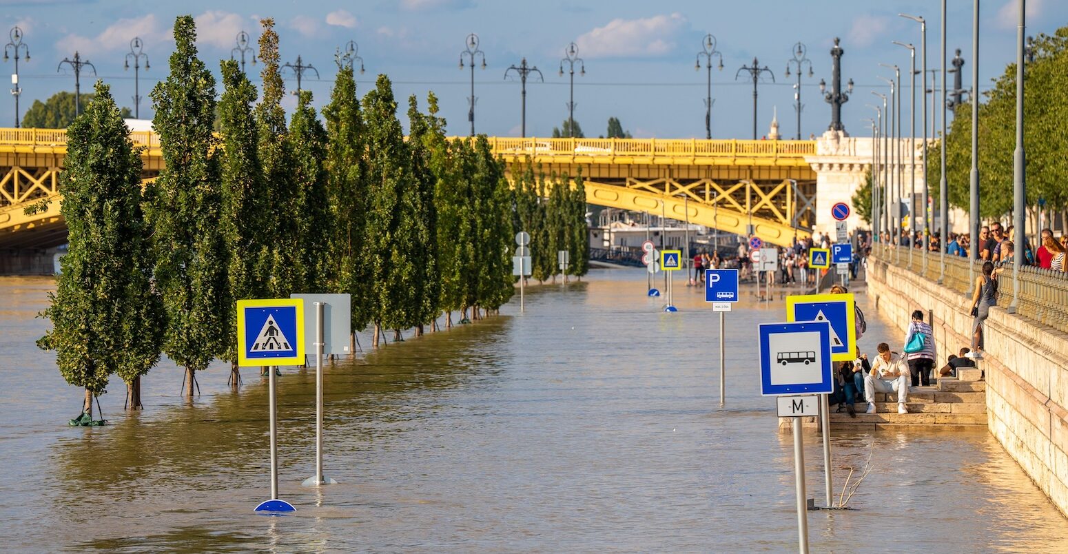 Submerged trees along the Danube River after storm 'Boris' in Budapest Hungary. Credit: Aleksei Gorovoi / Alamy Stock Photo. Image ID: 2Y75CHR.