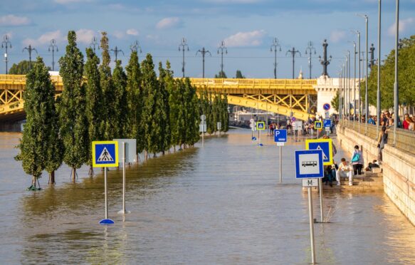 Submerged trees along the Danube River after storm 'Boris' in Budapest Hungary. Credit: Aleksei Gorovoi / Alamy Stock Photo. Image ID: 2Y75CHR.