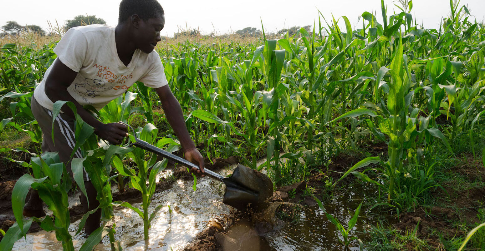 Smallholder farmer irrigating their field using cooperative infrastructure. Zambia. Credit: Eitan Simanor / Alamy Stock Photo. Image ID: CXWRPB.