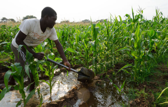 Smallholder farmer irrigating their field using cooperative infrastructure. Zambia. Credit: Eitan Simanor / Alamy Stock Photo. Image ID: CXWRPB.