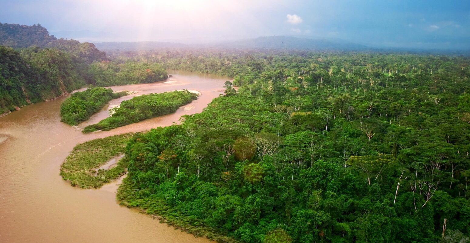 Amazon rainforest, Ecuador.