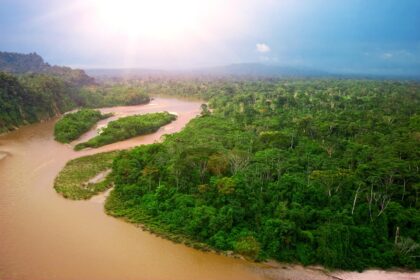 Amazon rainforest, Ecuador.