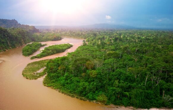 Amazon rainforest, Ecuador.