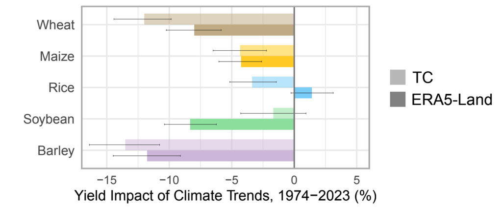 The estimated percentage impact of climate factors on yields of wheat (brown), maize (yellow), rice (blue), soya bean (green) and barley (purple) from 1974-2023, using two different historical climate datasets. Source: Lobell et al. (2025).
