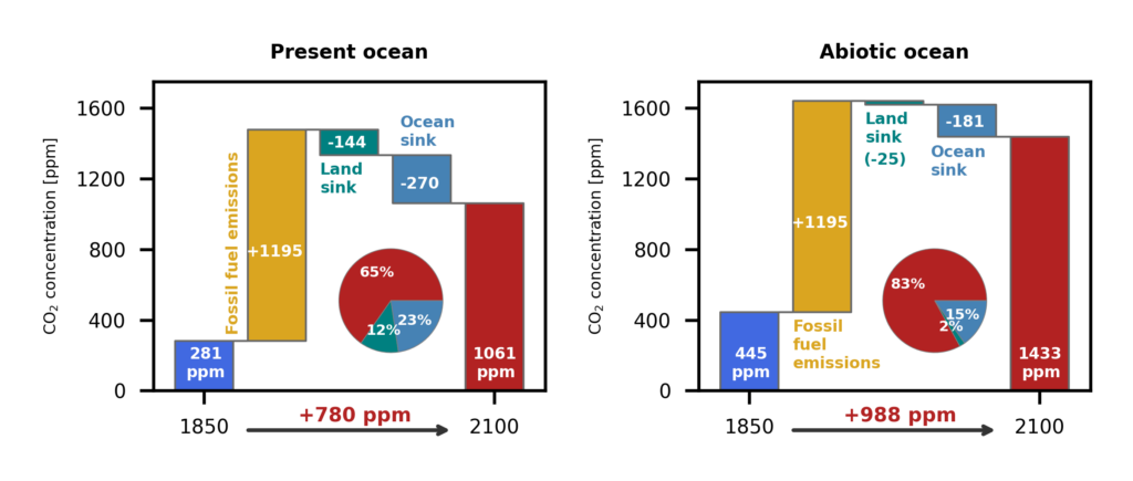 Projected distribution of the global carbon budget in 2100 in scenarios with (left) or without (right) marine life, with concentrations of carbon measured in parts per million (ppm).
