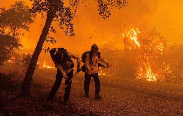 Firefighters during the Thompson fire in Oroville, California, 2024. Credit: UPI / Alamy Stock Photo. Image ID: 2XFDK58.