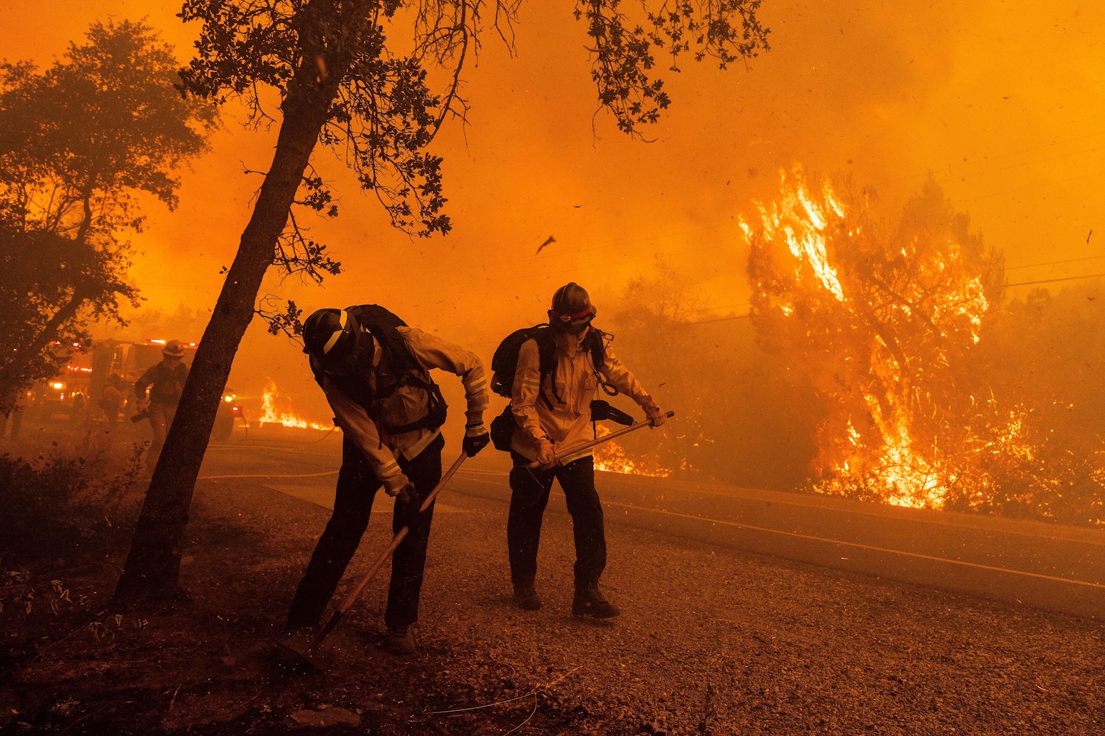 Climate News