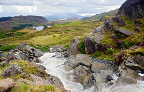 Stream in Snowdonia national park, UK.