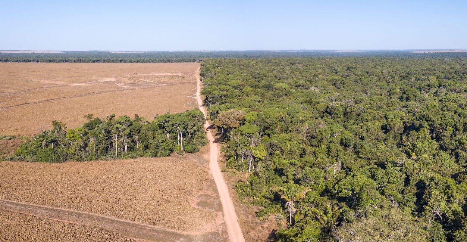 Aerial view of illegal Amazon deforestation.