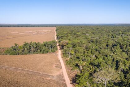 Aerial view of illegal Amazon deforestation.