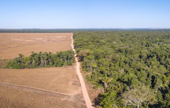 Aerial view of illegal Amazon deforestation.