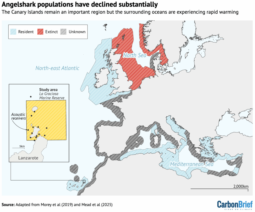 Angelshark population distribution across the north-east Atlantic Ocean and the Mediterranean Sea.