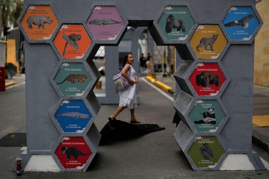 Animals in extinction display at the green zone of COP16 biodiversity negotiations in Cali, Colombia on 19 October 2024.