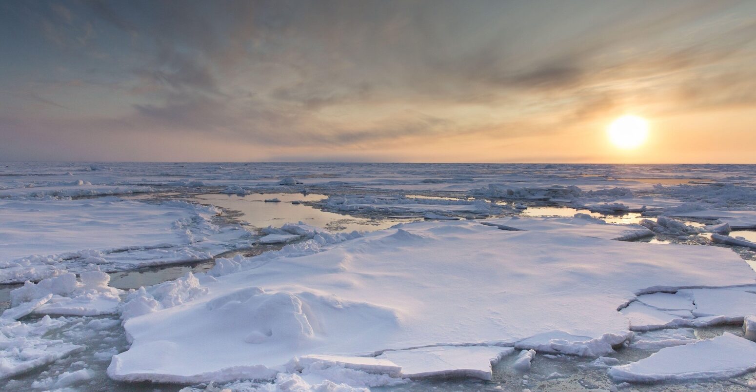 Arctic sea ice