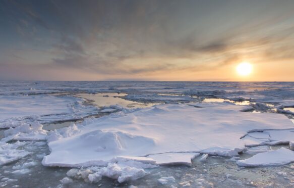 Arctic sea ice