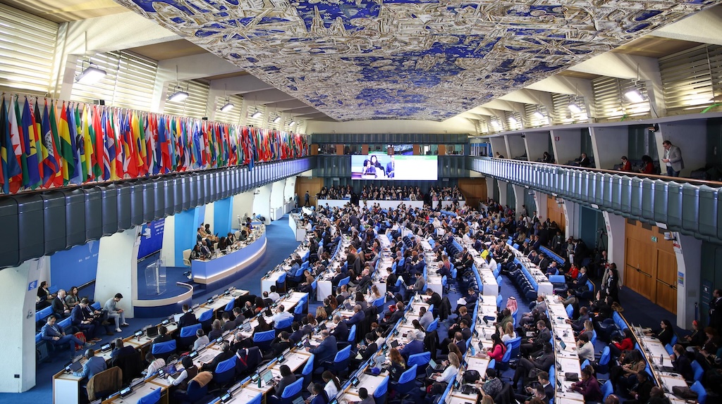 The opening plenary of the resumed COP16 negotiations at the headquarters of the UN Food and Agriculture Organization in Rome on 25 February 2025. Credit: IISD/ENB | Mike Muzurakis
