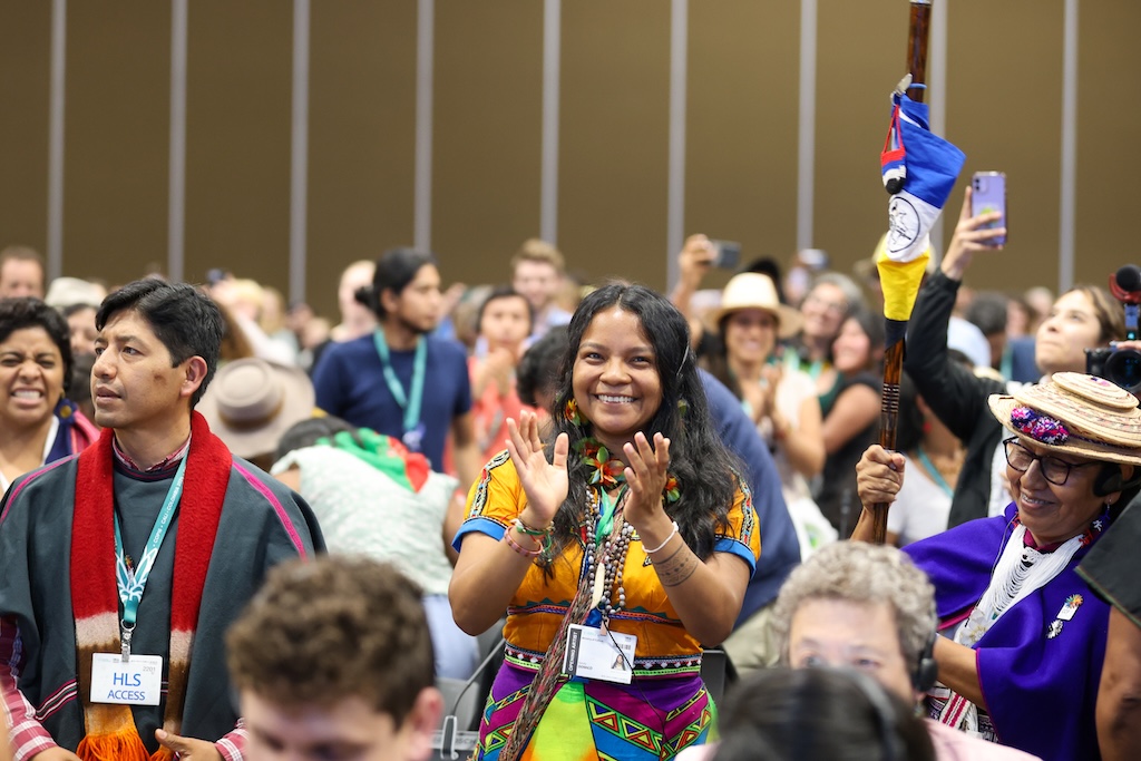 People celebrate after the establishment of a subsidiary body for Indigenous peoples at the COP16 negotiations in Cali, Colombia on 2 November 2024. Credit: IISD/ENB | Mike Muzurakis