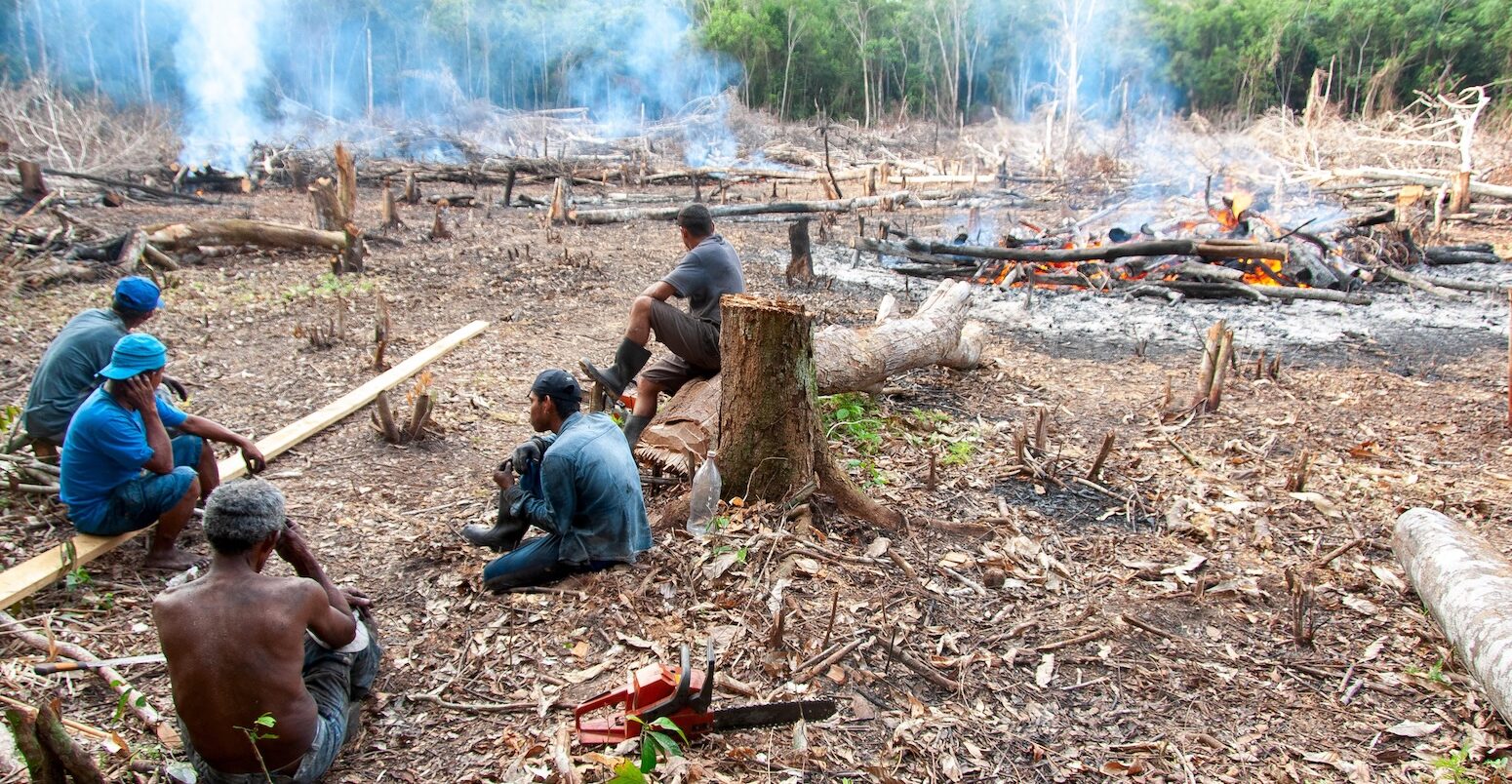 Workers sitting in a deforested and burned area of the Brazilian Amazon.