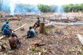 Workers sitting in a deforested and burned area of the Brazilian Amazon.
