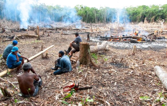 Workers sitting in a deforested and burned area of the Brazilian Amazon.