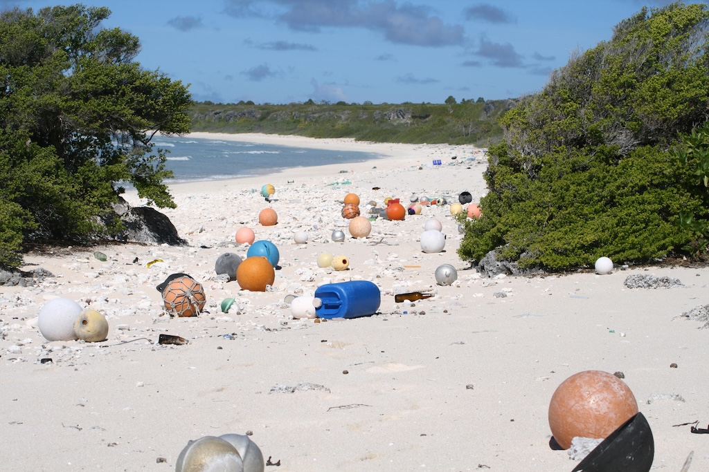 Plastic pollution on Henderson Island, South Pacific.