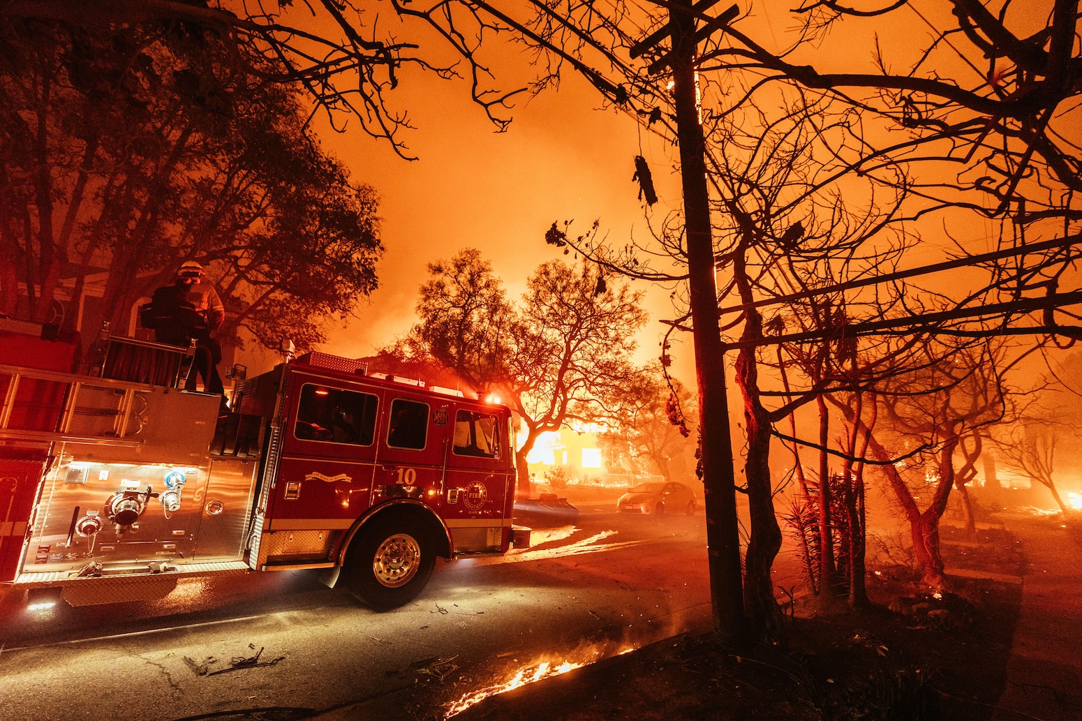 Global wildfires burned an area of land larger than India in 2024