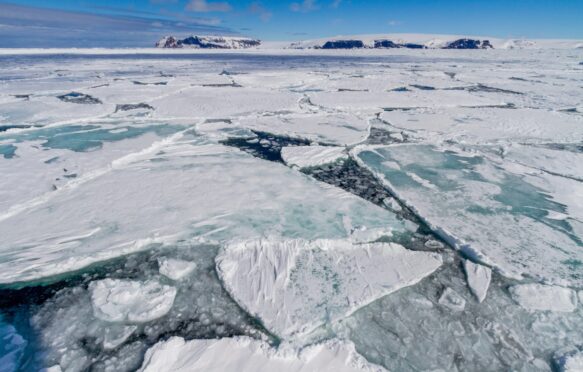 First year sea ice forming floes in the Antarctic.