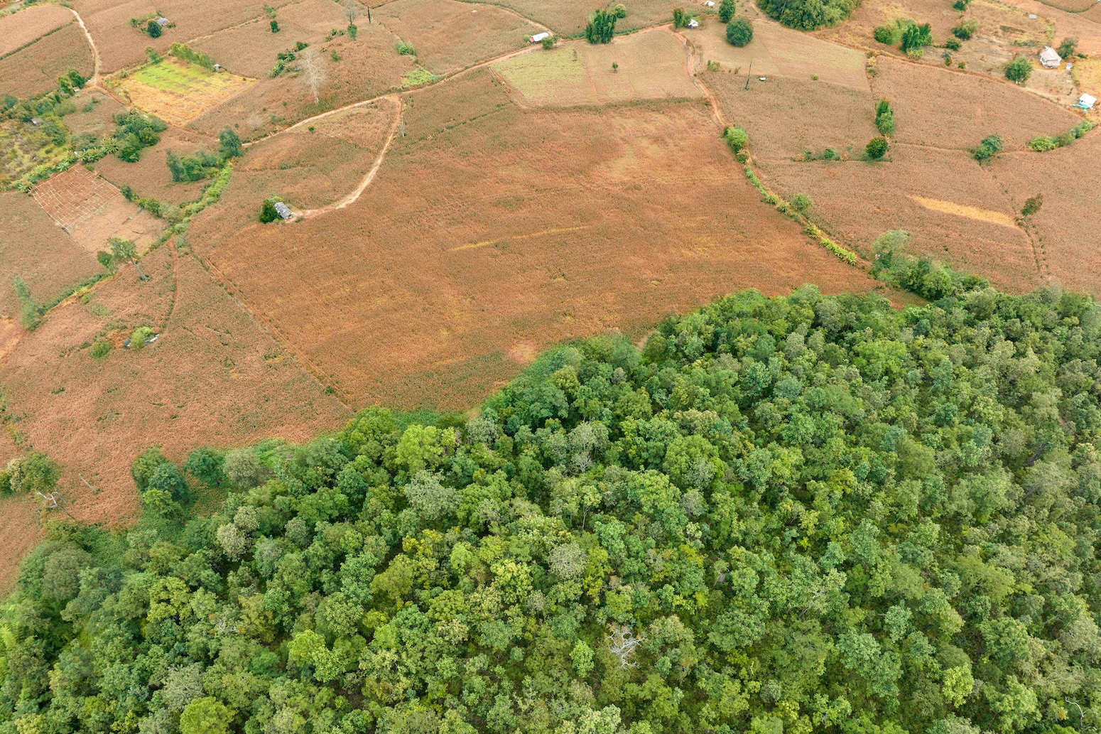 UN report: Five charts showing how global deforestation is declining