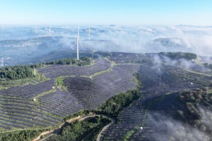 Wind and solar power station, Shandong Province, China.