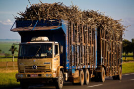 Transportation of sugarcane for production of ethanol and sugar, Brazil.