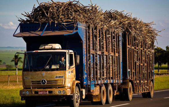Transportation of sugarcane for production of ethanol and sugar, Brazil.