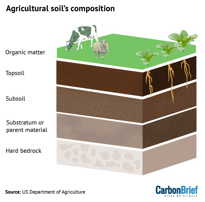 Soil horizons are divided into organic matter, topsoil, subsoil, substratum or parent material and hard bedrock.
