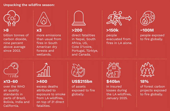 Key figures from the 2024-25 wildfire season