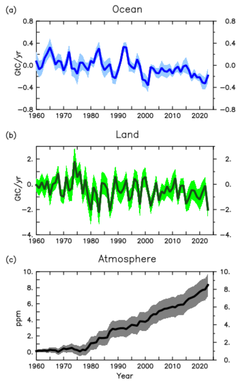 Impact of climate change on the land sink
