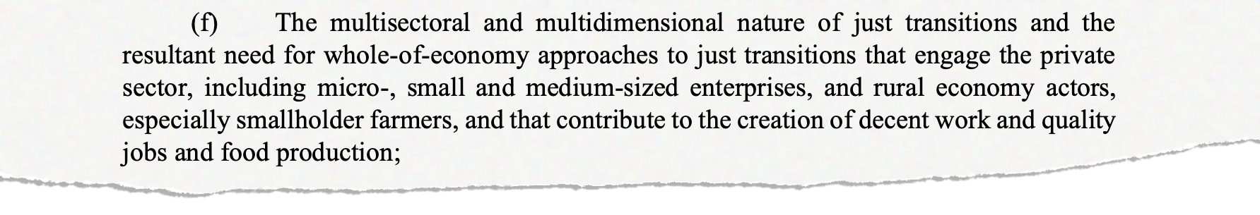 (f) The multisectoral and multidimensional nature of just transitions and the resultant need for whole-of-economy approaches to just transitions that engage the private sector, including micro-, small and medium-sized enterprises, and rural economy actors, especially smallholder farmers, and that contribute to the creation of decent work and quality jobs and food production;