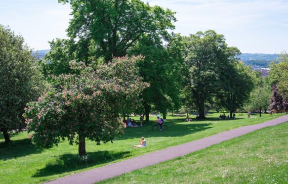 Brandon Hill Park, Bristol.