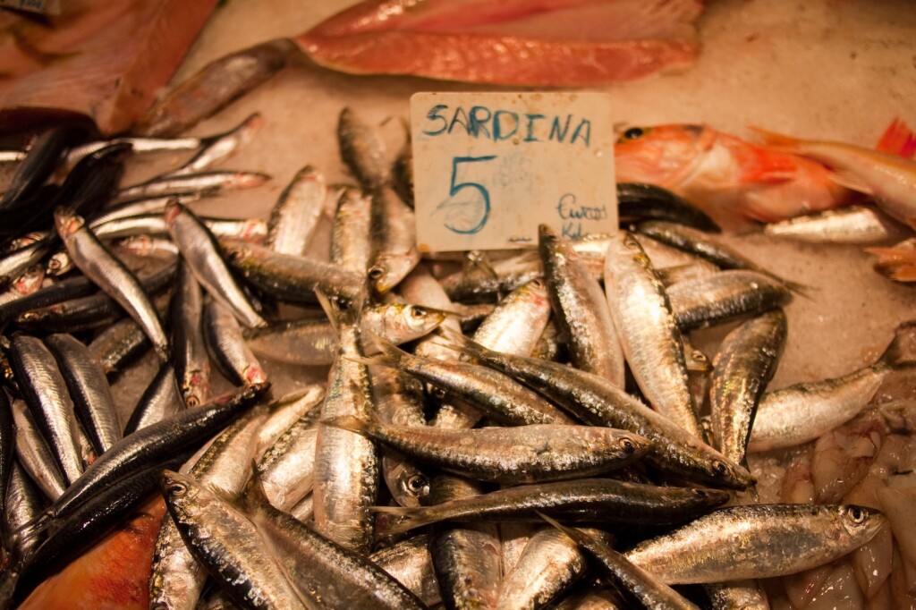 Sardines in La Boqueria Market, Barcelona.