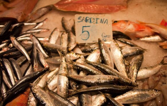 Sardines in La Boqueria Market, Barcelona.