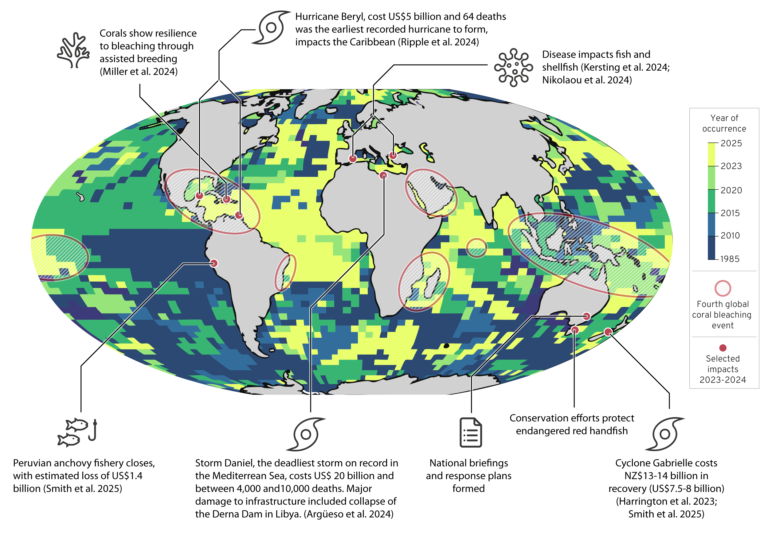 The impacts of the exceptional marine heatwaves over 2023–24, a period which saw the warmest sea surface temperature in the satellite record since 1985.