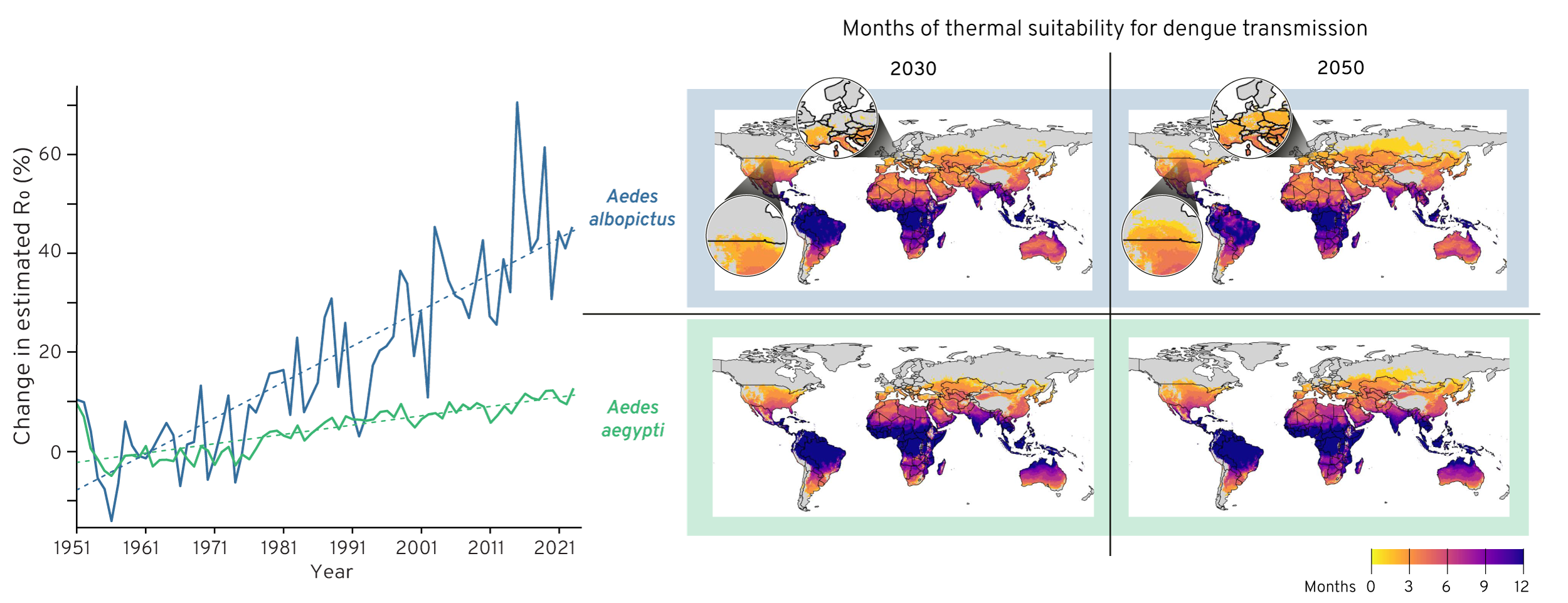 The chart on the left shows how climate affects the ability of mosquitoes to spread dengue.